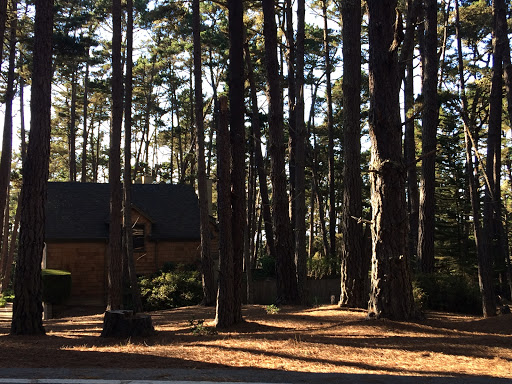 Golf Course «Poppy Hills Golf Course», reviews and photos, 3200 Lopez Rd, Pebble Beach, CA 93953, USA