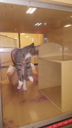 Pet Supply Store «PetSmart», reviews and photos, 412 Constant Friendship Blvd, Abingdon, MD 21009, USA