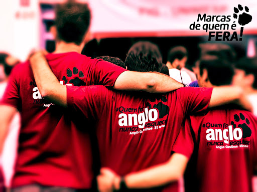 Logo da empresa - Curso Anglo Guarulhos