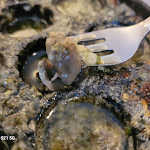 Photo n° 8 de l'avis de DJ. fait le 30/01/2024 à 16:04 pour Chez Constant à Chamonix-Mont-Blanc