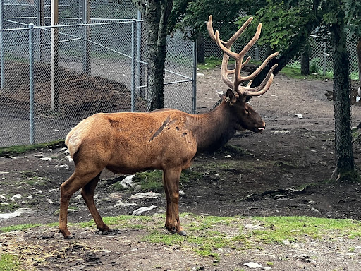 Tourist Attraction «Mile High Swinging Bridge», reviews and photos, US 221 and Blue Ridge parkway, Linville, NC 28646, USA