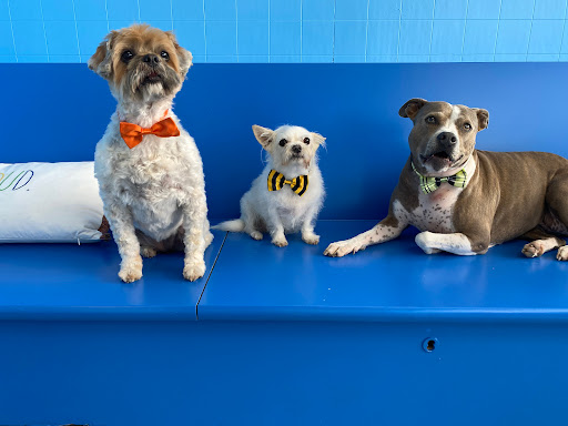 Good Graces Grooming