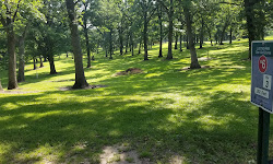 Lustig Park