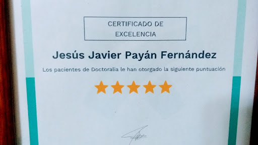 Mtro. Jesús Javier Payán Fernández, Psicóterapeuta