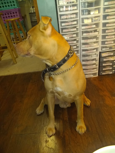 Novelty Store «Hazel Sky Smoke shop Fredericksburg», reviews and photos, 5244 Fredericksburg Rd, San Antonio, TX 78229, USA