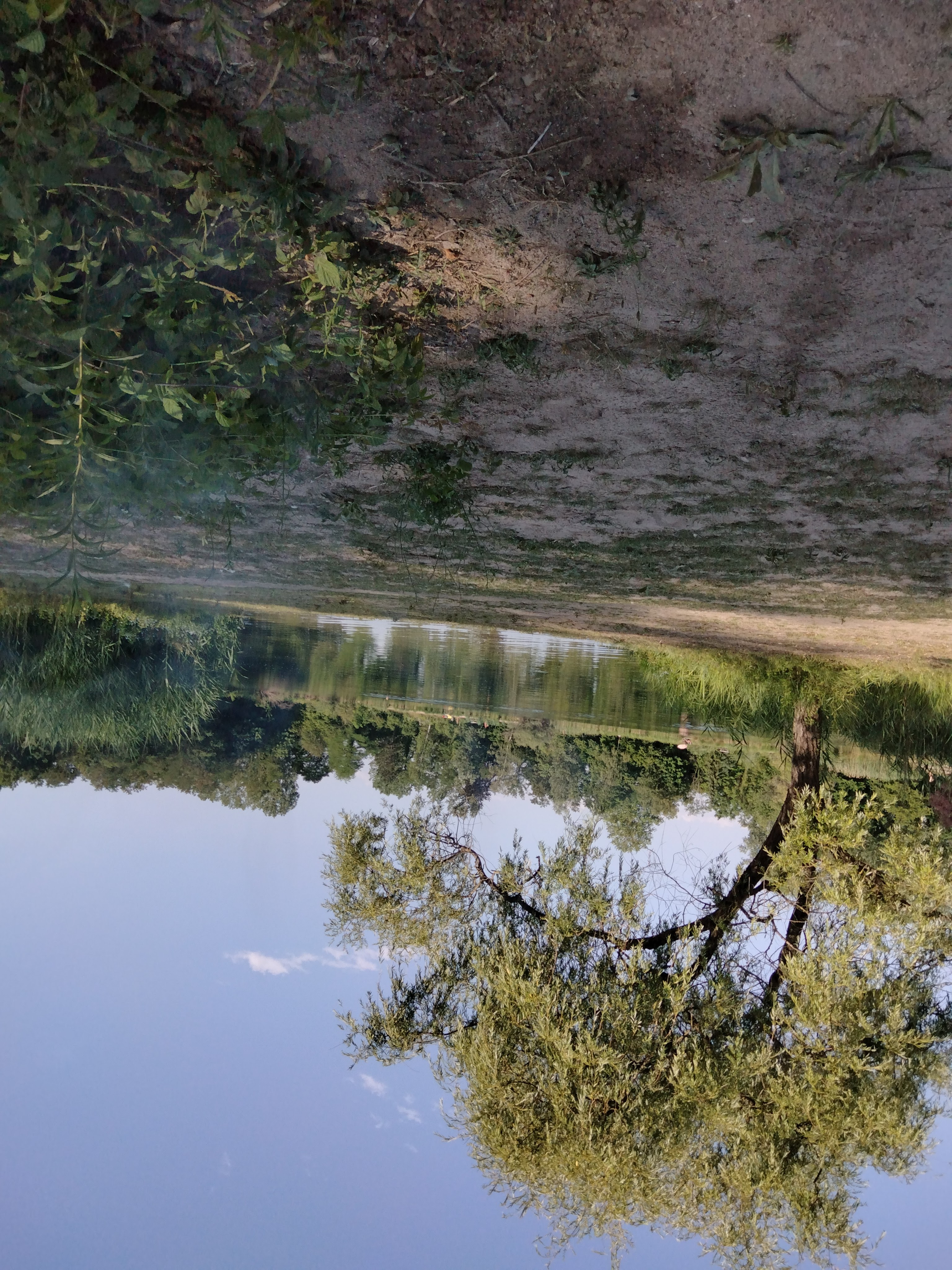 Photo n° 2 de l'avis de Bruno.h fait le 18/06/2023 à 18:26