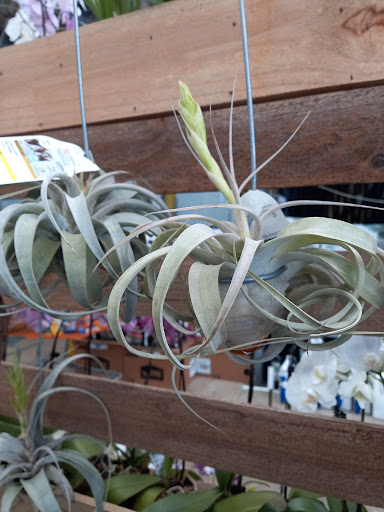 Home Improvement Store «The Home Depot», reviews and photos, 3730 Sun City Center Blvd, Ruskin, FL 33573, USA