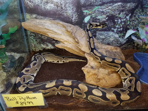 Pet Store «Pet Cove», reviews and photos, 820 E Center St, Kingsport, TN 37660, USA