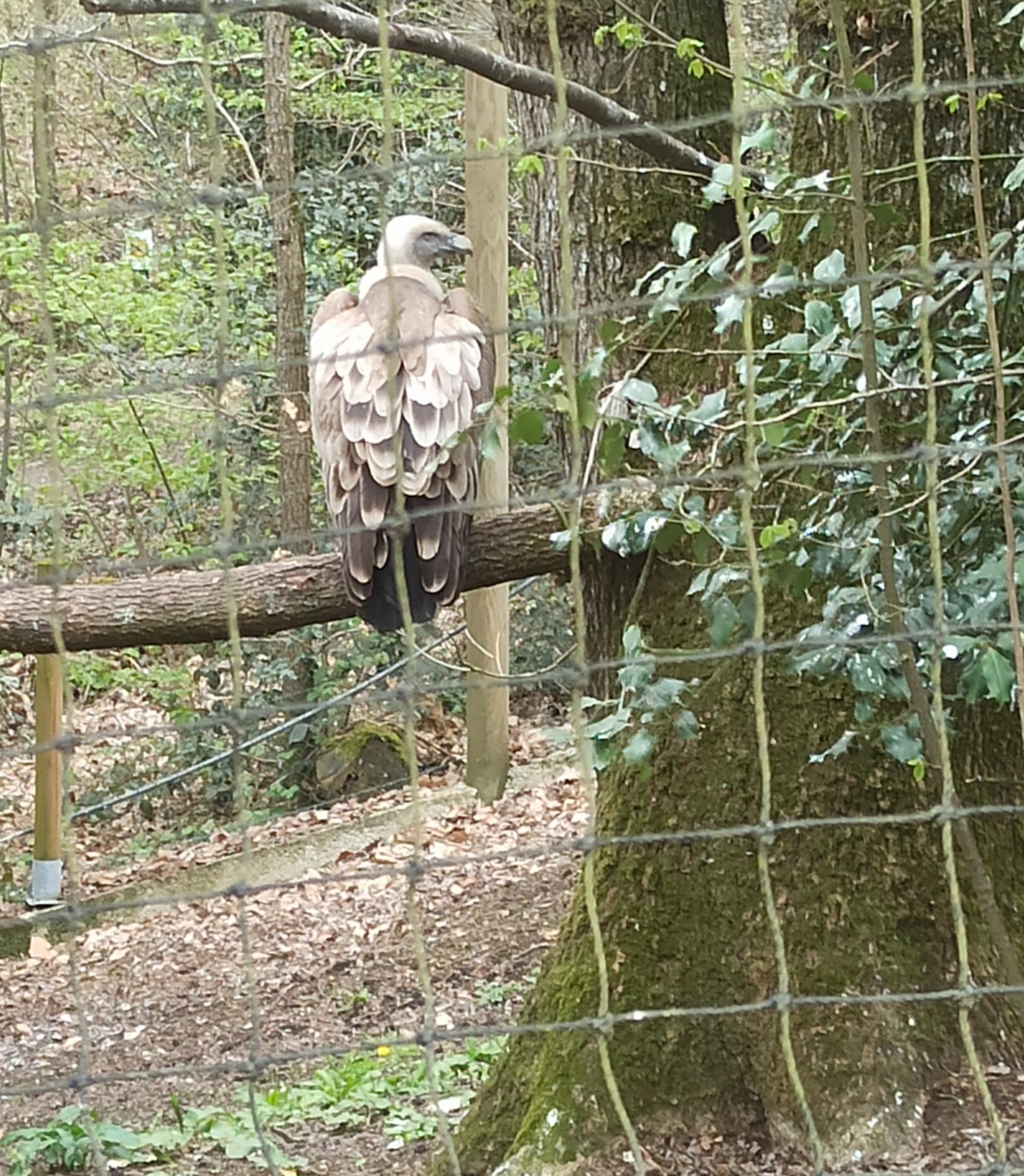 Photo n° 6 de l'avis de Angelique.a fait le 21/04/2023 à 16:55