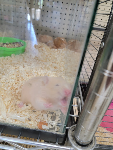 Pet Supply Store «PETNJOY - GARDENA», reviews and photos, 15515 Normandie Ave, Gardena, CA 90247, USA