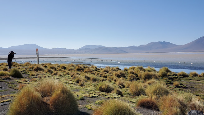 Pastos Grandes Lake by null