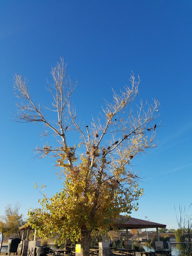 Park «Discovery Park», reviews and photos, 2214 E Pecos Rd, Gilbert, AZ 85297, USA