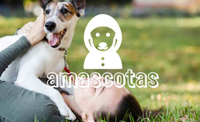 Amascotas.co - El Club de la Mascota