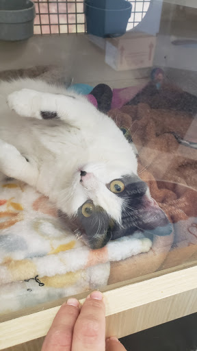 Pet Supply Store «Petco Animal Supplies», reviews and photos, 430 N Euclid St, Anaheim, CA 92801, USA