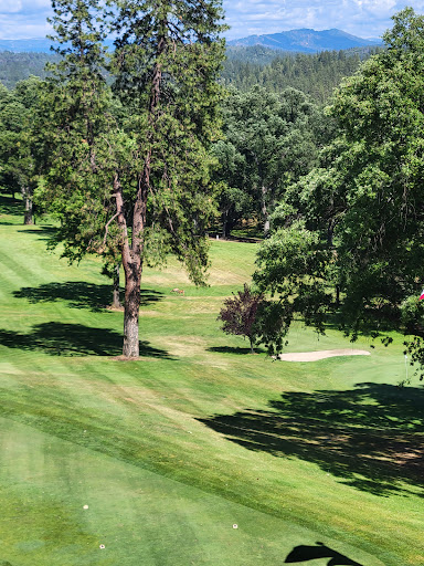 Association or Organization «Pine Mountain Lake Golf Course», reviews and photos, 12765 Mueller Dr, Groveland, CA 95321, USA