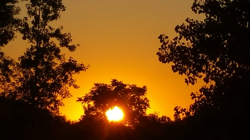 Discount Store «Family Dollar», reviews and photos, 2774 W Lansing Rd, Perry, MI 48872, USA