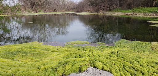 Country Club «Dominion Country Club», reviews and photos, 1 Dominion Dr, San Antonio, TX 78257, USA