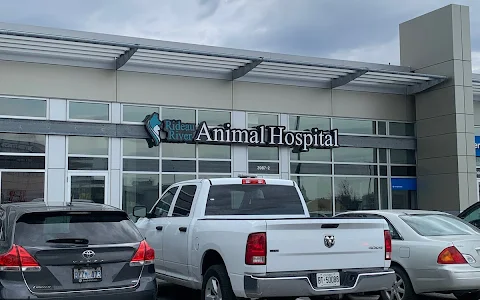 Rideau River Animal Hospital image