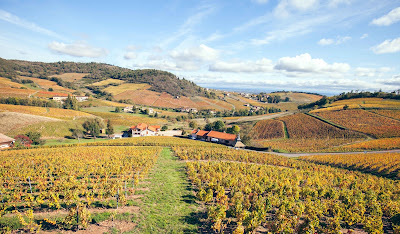 Philippe & Baptiste AUFRANC, Vignerons a Fleurie à Fleurie