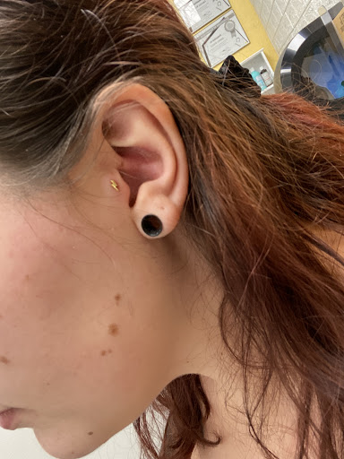 Explore forearm tree tattoo ideas, creative tattoo ideas in Sarasota, available at Lost Art Tattoo