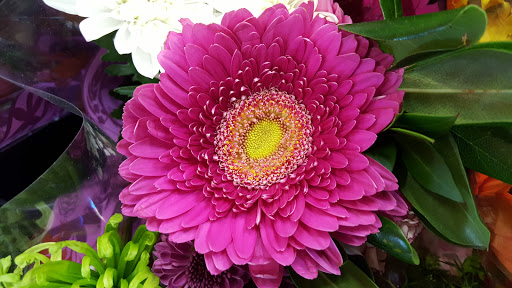 Home Improvement Store «The Home Depot», reviews and photos, 7121 Firestone Blvd, Downey, CA 90241, USA