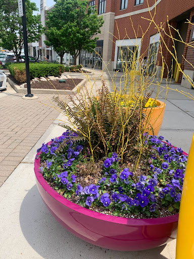 Shopping Mall «Burr Ridge Village Center», reviews and photos, 701 Burr Ridge Pkwy, Willowbrook, IL 60527, USA