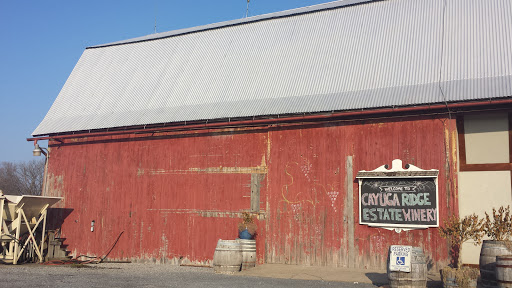 Winery «Cayuga Ridge Estate Winery», reviews and photos, 6800 NY-89, Ovid, NY 14521, USA