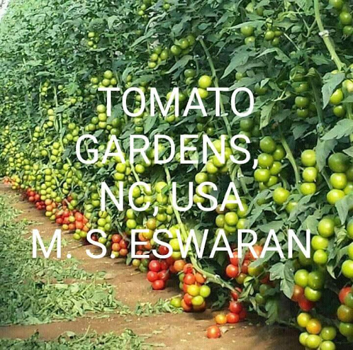 Book Store «University Bookstore», reviews and photos, 705 E Lawson St, Durham, NC 27701, USA