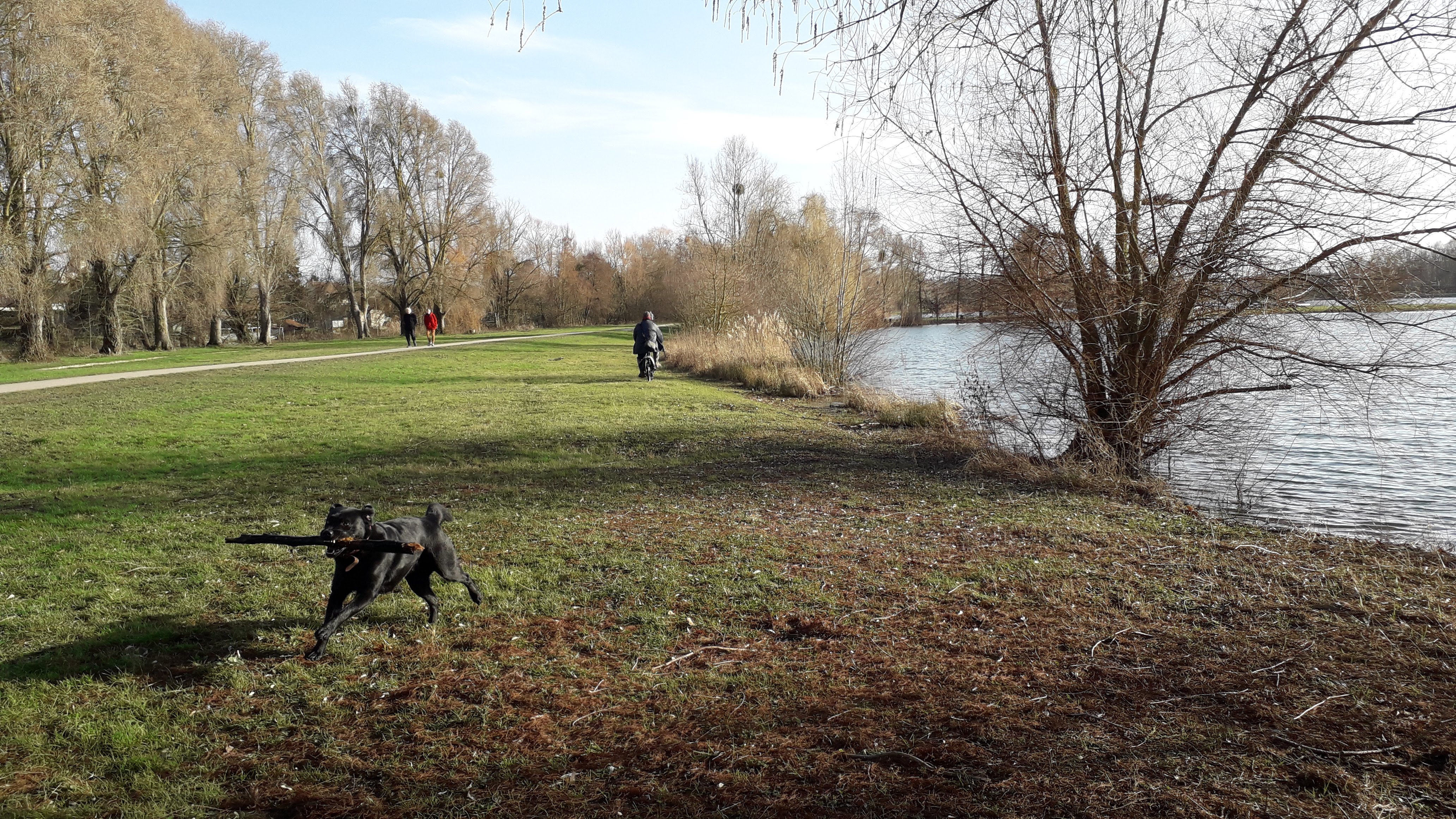 Photo n° 15 de l'avis de Nathalie.a fait le 21/02/2021 à 08:54