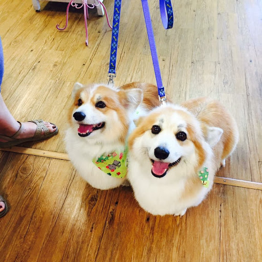 Pet Store «Bark Life Market», reviews and photos, 11220 Park Blvd N, Seminole, FL 33772, USA