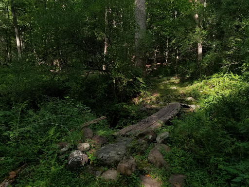 Coventry Pond Trailhead