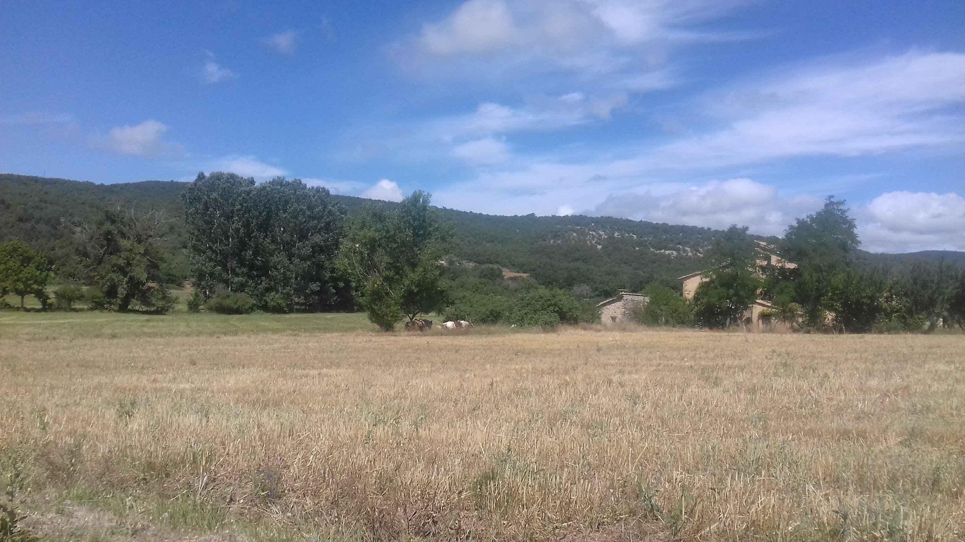 Photo n° 1 de l'avis de A.M.. fait le 06/08/2021 à 04:41