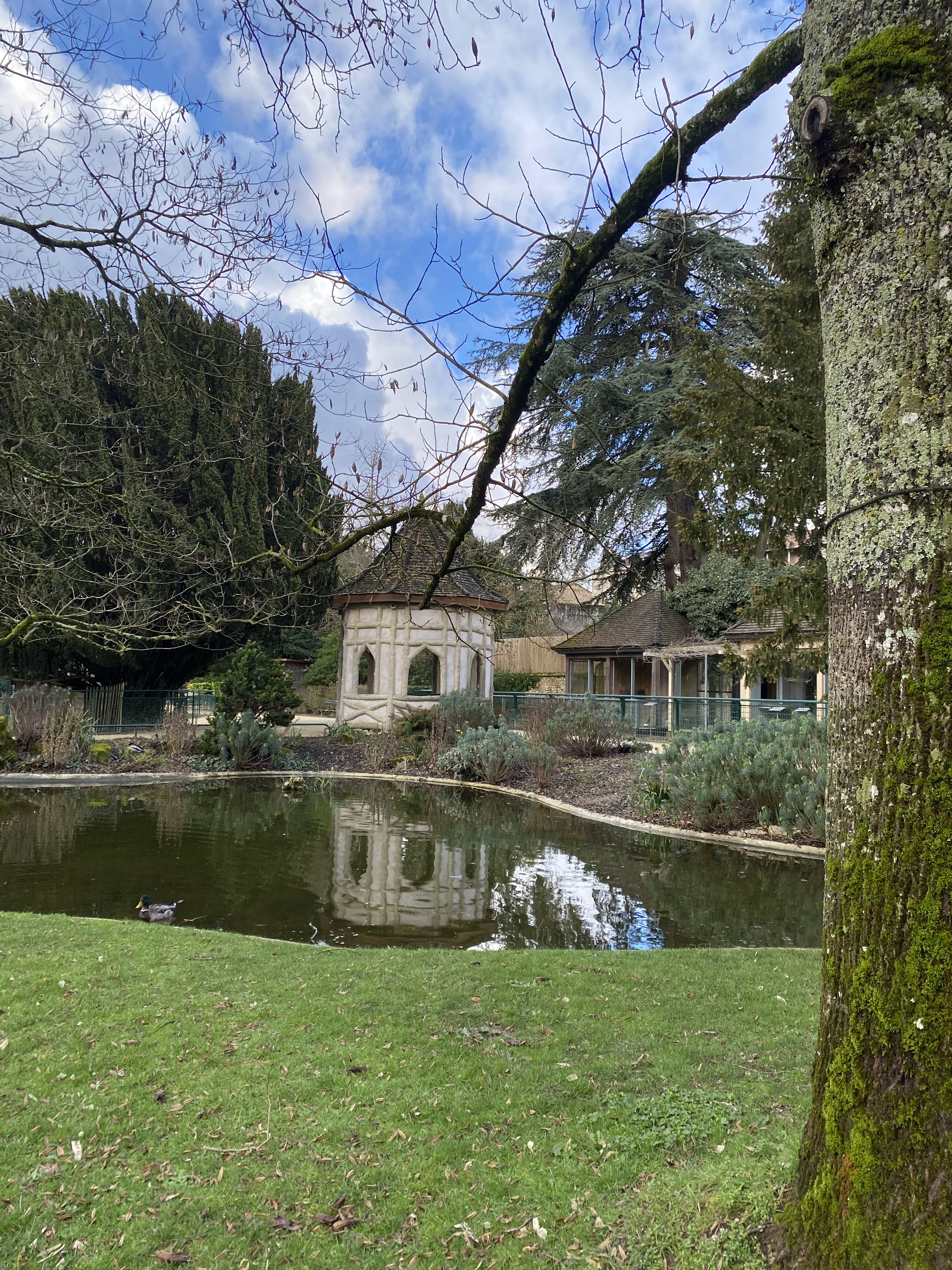 Photo n° 22 de l'avis de Marylène.u fait le 22/03/2022 à 17:15