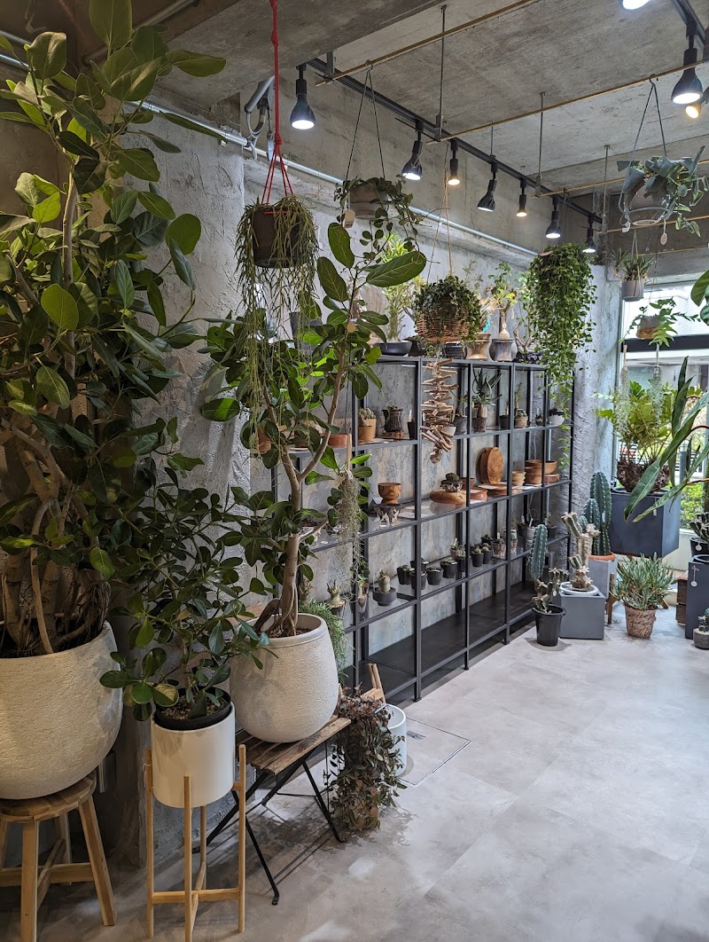 A-plants(エープランツ)神戸店