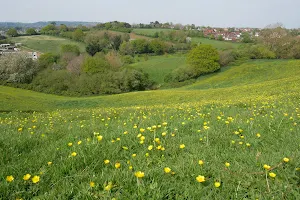 Ludwell Valley Park image