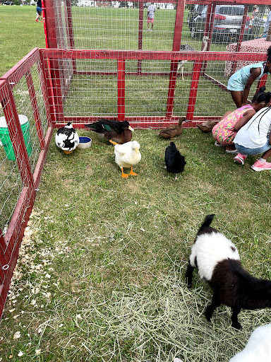 Park «Balduck Park», reviews and photos, 5271 Canyon St, Detroit, MI 48236, USA