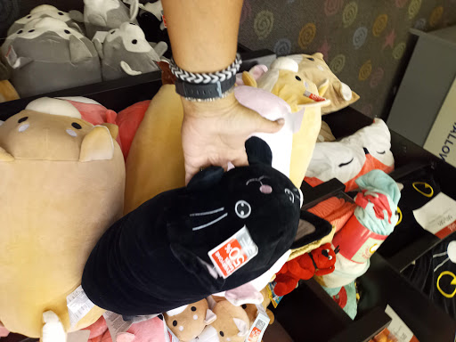 Book Store «Books-A-Million», reviews and photos, 6235 N Davis Hwy, Pensacola, FL 32504, USA