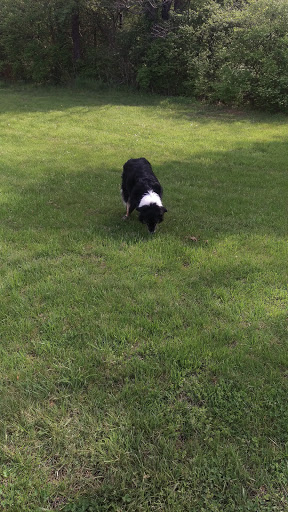 Park «Skyview Park», reviews and photos, 2700 Watterson Trail, Jeffersontown, KY 40299, USA