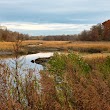 Otter Creek Preserve