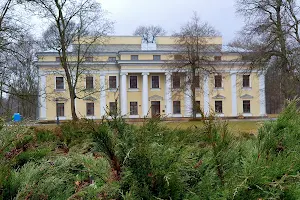 Verkiai Palace image