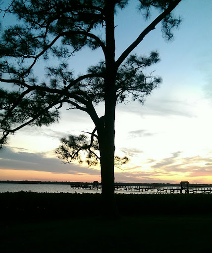 Park «R E Olds Park», reviews and photos, 107 Shore Dr W, Oldsmar, FL 34677, USA