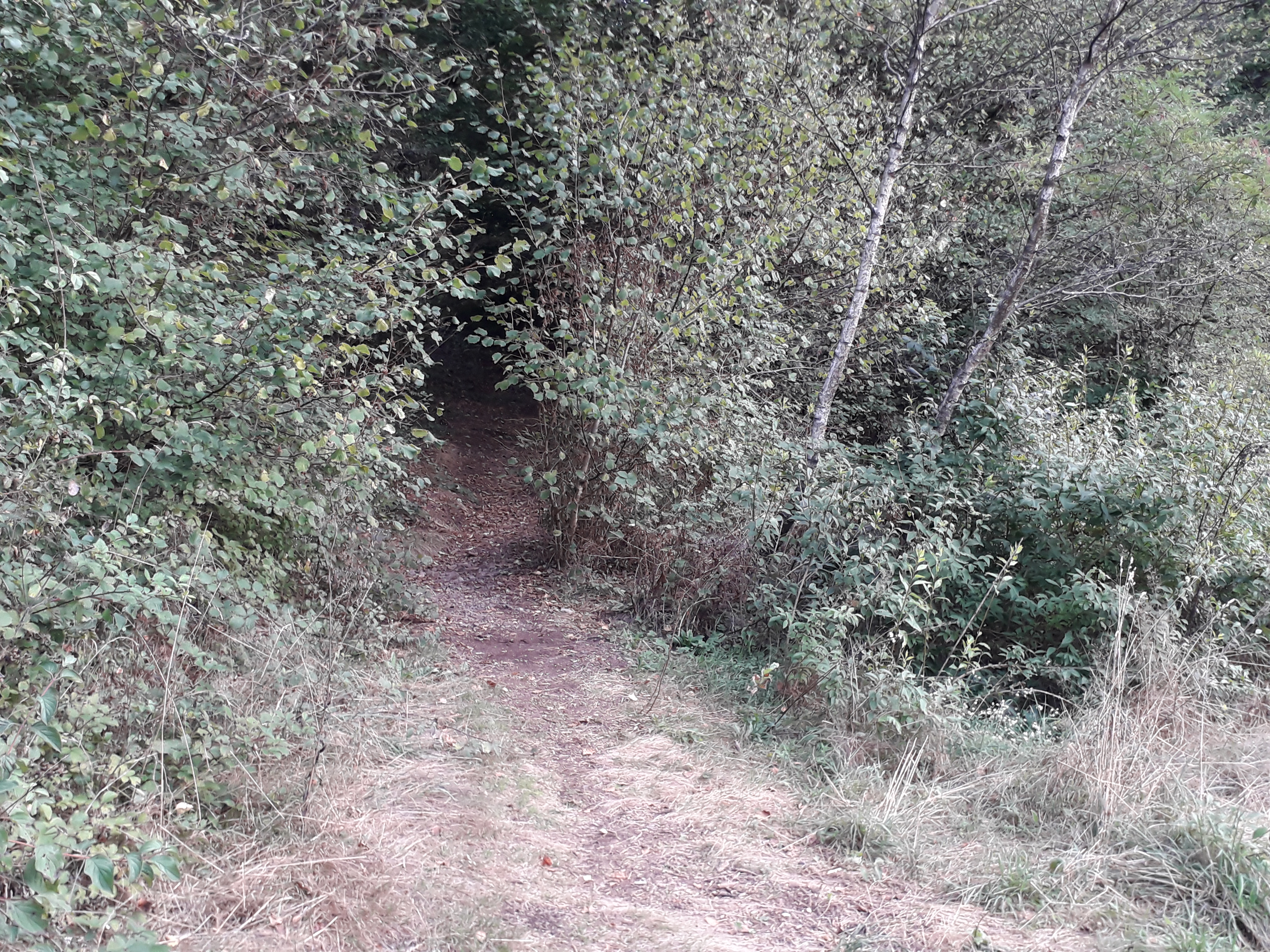 Photo n° 11 de l'avis de Enzo.e fait le 22/08/2022 à 20:20