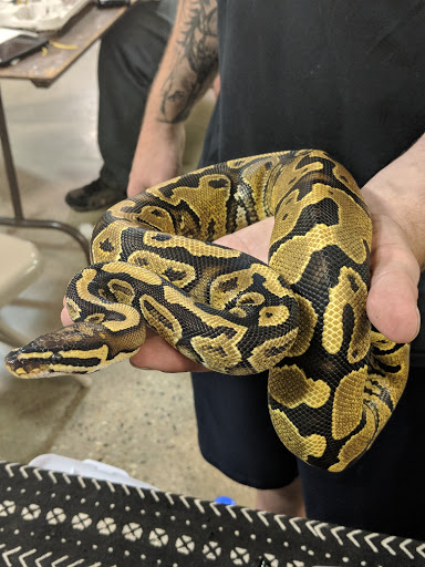 Pet Store «Kalamazoo Reptile Show», reviews and photos, 2900 Lake St, Kalamazoo, MI 49048, USA