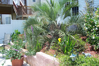 Brb Custom Landscape & Lawn Care - Photo 5 - Car repair in , Macon