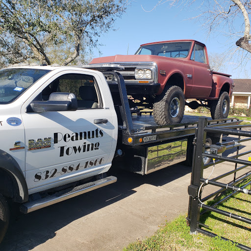 Buddys Auto Sales, 16535 Hwy 6, Santa Fe, TX 77517, USA, 