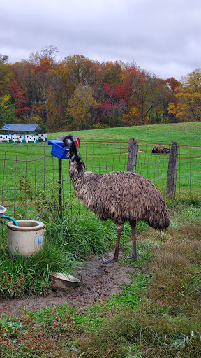 Farm «Clarks Elioak Farm LLC», reviews and photos, 10500 Clarksville Pike, Ellicott City, MD 21042, USA