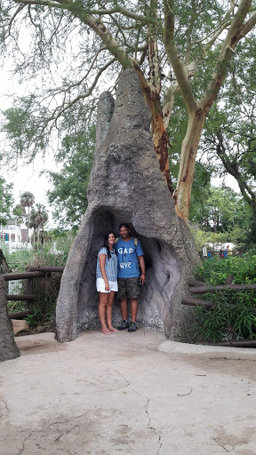 Tourist Attraction «Busch Gardens Main Entrance», reviews and photos, 9449 N 40th St, Tampa, FL 33617, USA