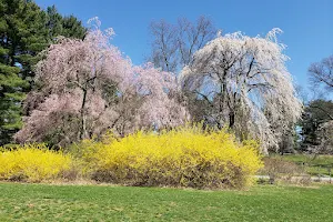 Hart’s Brook Park and Preserve image