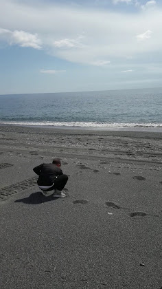 Vidéos Casa vacanza Parco California 87020 Marina di Santa Maria del Cedro