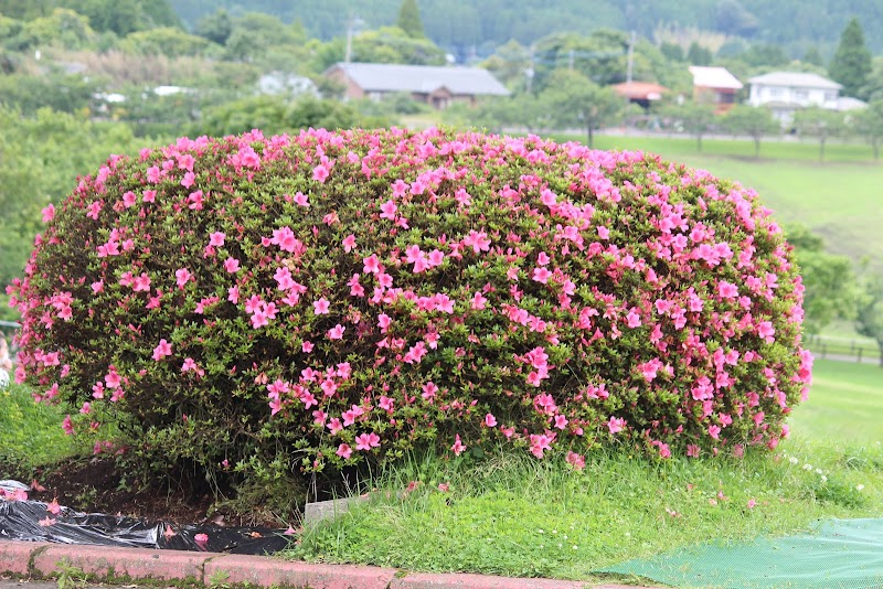 藤田研修館